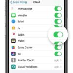 ios13-iphone-xs-settings-apple-id-icloud-destekapple