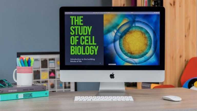 Mevcut Modeller Kaybolurken Yeni iMac’ler Bekleniyor