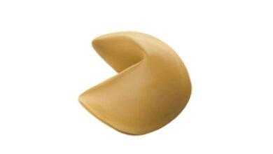 fortune cookie thumb800