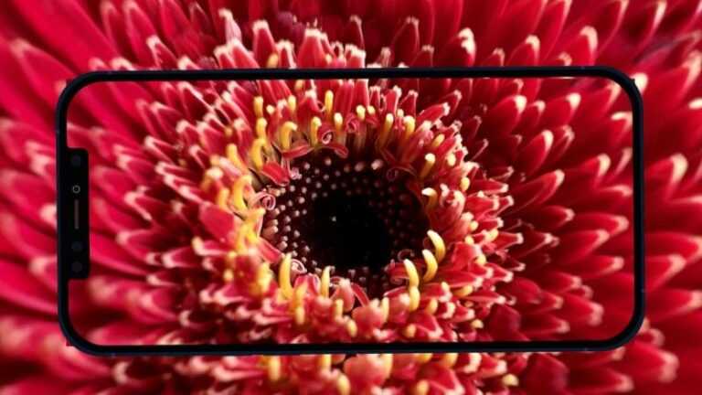 Yeni iPhone 13 Pro Makro Modu Sorunlara Neden Oluyor