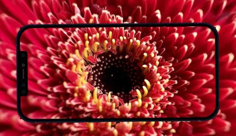 Yeni iPhone 13 Pro Makro Modu Sorunlara Neden Oluyor 3 macro photos thumb800
