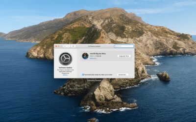 Apple, macOS Big Sur ve Catalina için Güvenlik Güncellemeleri Yayınladı
