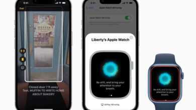 iphone acessibility