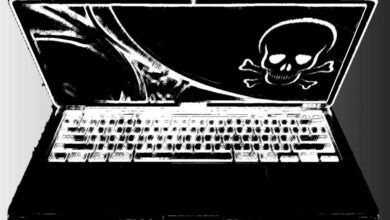 mac security graphic 100903916 orig