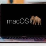 macos_mammouth.jpg