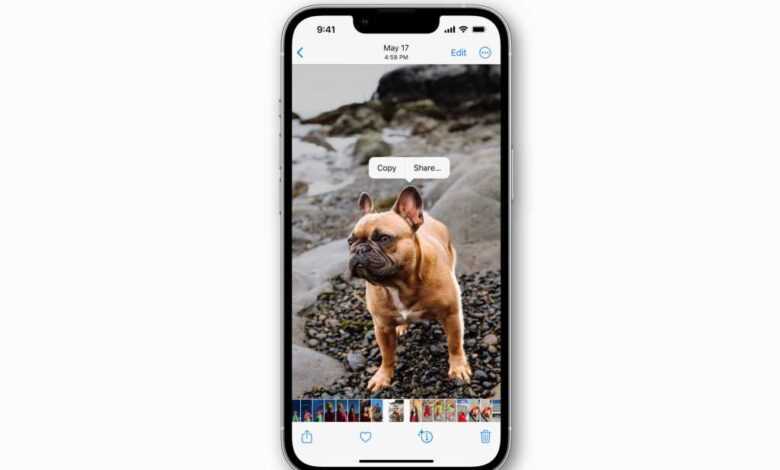 iOS 16'da bir görüntüden bir konu nasıl kaldırılır 5 ios16 lift images