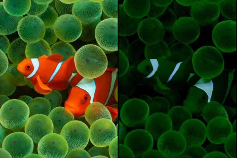 iOS 16 duvar kağıtları, iPhone 14 Pro için her zaman açık ekran davranışını ortaya koyuyor