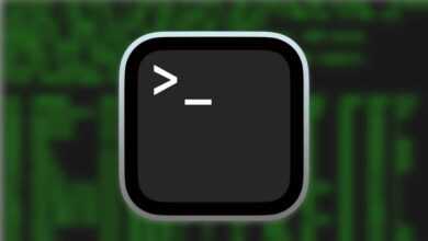 macos terminal graphic