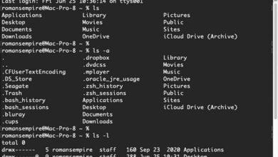 terminal macos big sur 1 1