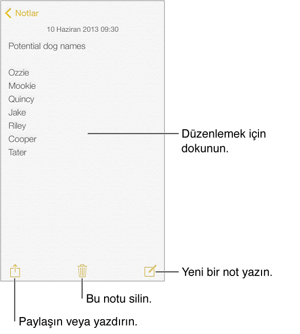 iPhone Notlar 1 iPhone Notlar uygulamasının ana ekran görüntüsü