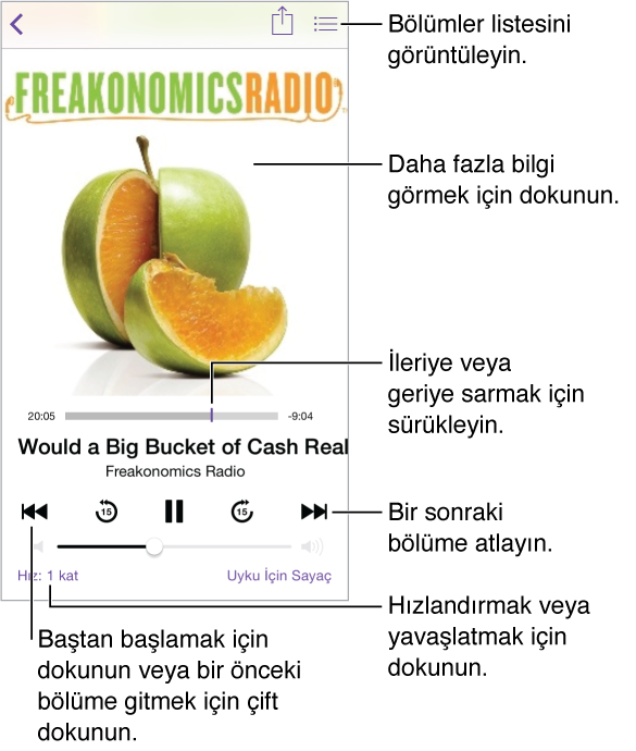 iPhone Podcast’ler 3 iPhone Podcast oynatma kontrolleri ve şu an çalan ekranı