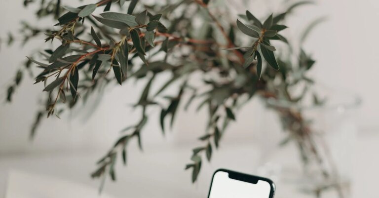 iPhone Nasıl Yapılır? Adım Adım Kılavuz ile Kendi Telefonunu Tasarlayın!