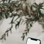 iPhone-da-Nasil-yapilir-en-iyi-yollar-d39233e90bdb4473ea96e27479debec3