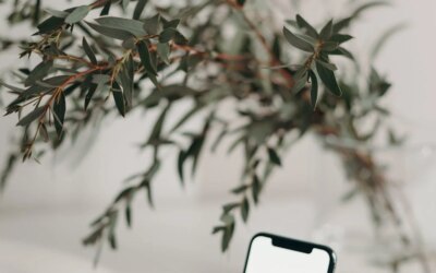 iPhone ile En İyi Nasıl Yapılır? Yaratıcı Yöntemler ve İpuçları