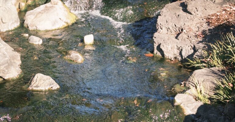 iPhone’unuzu Özelleştirmenin Sırları: Adım Adım Kılavuz